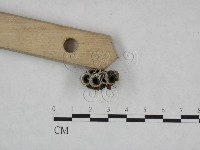 登錄號:F0023721藏品圖，第3張