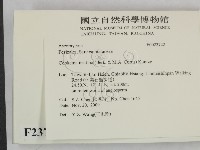 登錄號:F0023722藏品圖，第2張