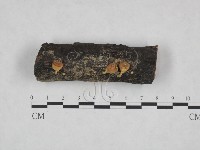 登錄號:F0023723藏品圖，第1張