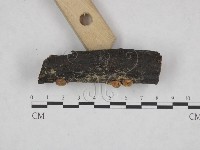 登錄號:F0023723藏品圖，第3張