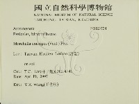 登錄號:F0023724藏品圖，第2張