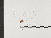 登錄號:F0023724藏品圖，第3張