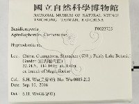 絲齒菌屬藏品圖，第2張
