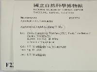 登錄號:F0023726藏品圖，第2張