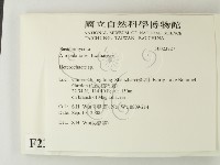 刺皮菌屬藏品圖，第2張