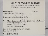 登錄號:F0023728藏品圖，第2張