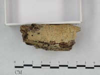 登錄號:F0023728藏品圖，第3張