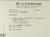 筍殼菌屬藏品圖，第2張