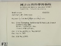 登錄號:F0023730藏品圖，第2張