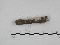 登錄號:F0023730藏品圖，第3張