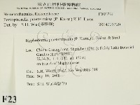 登錄號:F0023731藏品圖，第2張