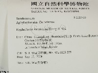 登錄號:F0023733藏品圖，第2張