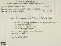 登錄號:F0023736藏品圖，第2張