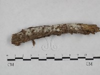 登錄號:F0023736藏品圖，第1張