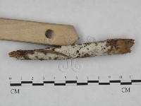 登錄號:F0023736藏品圖，第3張