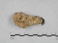 登錄號:F0023737藏品圖，第1張