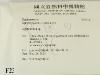 絲齒菌屬藏品圖，第2張