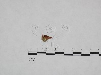 登錄號:F0023741藏品圖，第1張