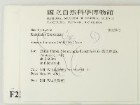 登錄號:F0023742藏品圖，第2張