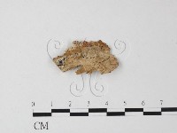 登錄號:F0023746藏品圖，第1張