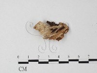 登錄號:F0023746藏品圖，第3張