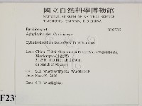 登錄號:F0023747藏品圖，第2張