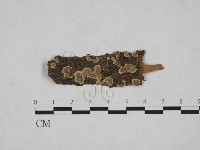 登錄號:F0023747藏品圖，第1張