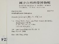 登錄號:F0023748藏品圖，第2張