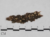 登錄號:F0023748藏品圖，第1張