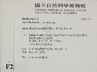 登錄號:F0023749藏品圖，第2張