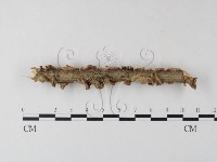 登錄號:F0023753藏品圖，第4張