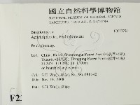 筍殼菌屬藏品圖，第2張