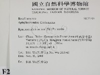 登錄號:F0023755藏品圖，第2張