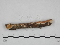 登錄號:F0023755藏品圖，第1張
