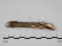 登錄號:F0023755藏品圖，第3張
