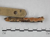 登錄號:F0023755藏品圖，第4張