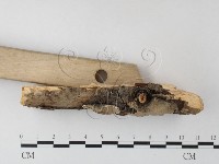 登錄號:F0023758藏品圖，第3張