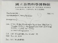 筍殼菌屬藏品圖，第2張