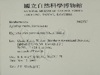 登錄號:F0023763藏品圖，第2張