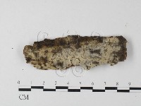 登錄號:F0023764藏品圖，第1張