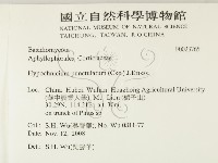 登錄號:F0023765藏品圖，第2張