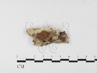 登錄號:F0023765藏品圖，第1張