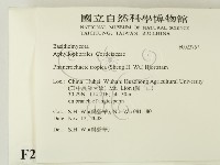 登錄號:F0023767藏品圖，第2張