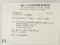 登錄號:F0023768藏品圖，第2張