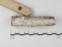登錄號:F0023768藏品圖，第3張