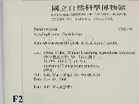登錄號:F0023769藏品圖，第2張