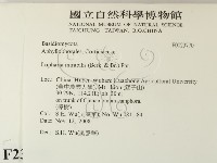 登錄號:F0023770藏品圖，第2張