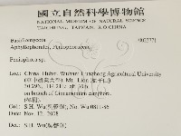 筍殼菌屬藏品圖，第2張