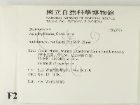 登錄號:F0023773藏品圖，第2張