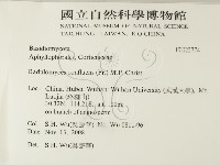 登錄號:F0023774藏品圖，第2張